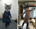 freaky-large-fake-cat-head-awesomelycute.com-4