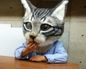 freaky-large-fake-cat-head-awesomelycute.com-5