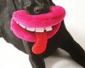 funny-dog-pet-toys-awesomelycute.com-18