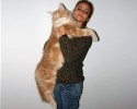 largest-cats-in-the-world-20