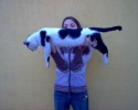 largest-cats-in-the-world-5 (2)