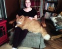 largest-cats-in-the-world-9