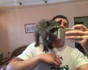 raccoons-20