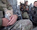 soldiers-and-their-animals-1
