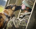 soldiers-and-their-animals-12