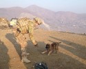 soldiers-and-their-animals-18