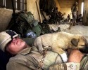 soldiers-and-their-animals-4