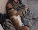 soldiers-and-their-animals-7
