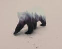 double-exposure-animal-photography-andreas-lie-17