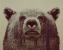 double-exposure-animal-photography-andreas-lie-18