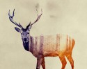 double-exposure-animal-photography-andreas-lie-19