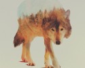 double-exposure-animal-photography-andreas-lie-2