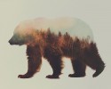 double-exposure-animal-photography-andreas-lie-21