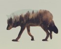 double-exposure-animal-photography-andreas-lie-6