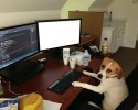 bring-your-puppy-to-work-0021