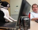 bring-your-puppy-to-work-0024