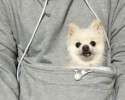 mewgaroo-ultimate-hoodie-for-animal-lovers-7