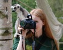 animal-photographers-22