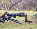 animal-photographers-9