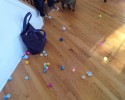 cats-with-hoarding-problems-16
