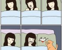 funny-cat-illustrations-12