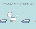 funny-cat-illustrations-8