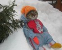 animals-ready-for-winter-17