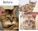 before-and-after-adoption-photos-28
