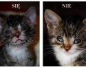 before-and-after-adoption-photos-7