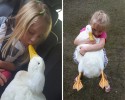 little-girl-and-her-duck-1