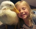 little-girl-and-her-duck-8