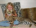 Savannah-cat