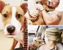 photos-of-dogs-after-adoption-23