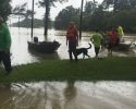 poeple-rescue-animals-from-louisiana-floods-6