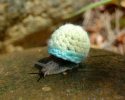 cute-animals-with-sweaters-28