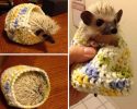 cute-animals-with-sweaters-30