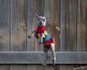 cute-animals-with-sweaters-6