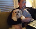dads-who-did-not-want-a-dog-but-quickly-gave-in-2017-01-24-18