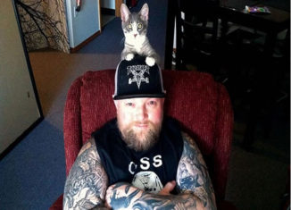Cats and their heavy metal rocker companions